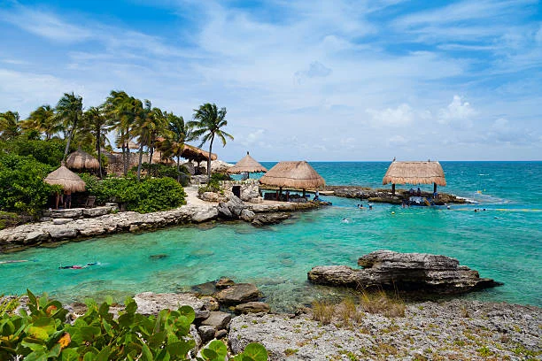 Ecoturismo en la Riviera Maya: áreas naturales con palmeras y vegetación tropical.