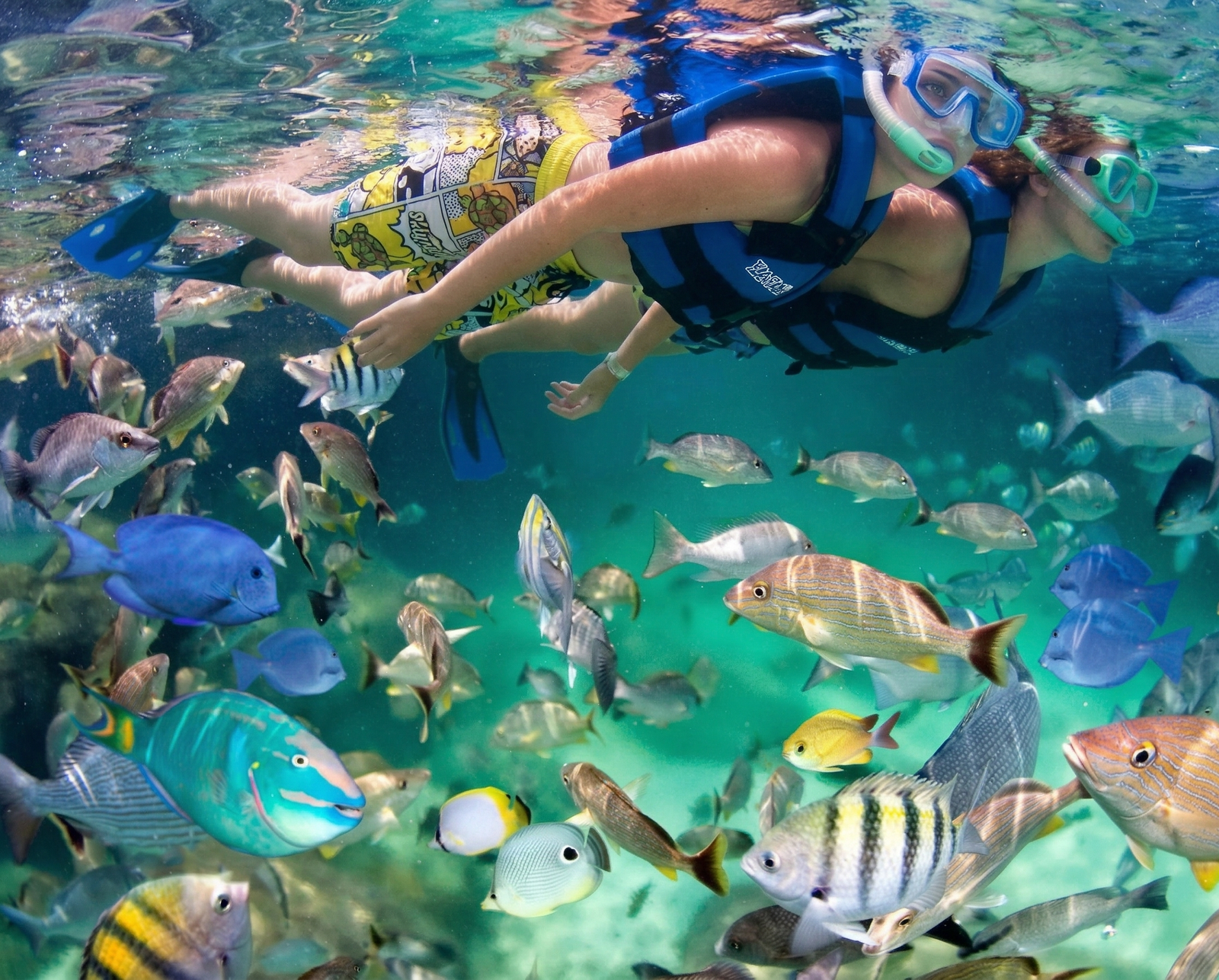 Turistas haciendo snorkel con chalecos salvavidas azules, rodeados por peces tropicales coloridos en el arrecife del Caribe Mexicano.