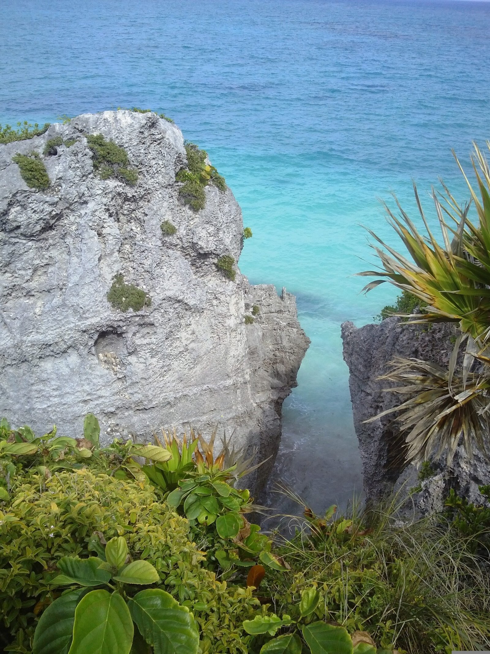 Fotografía de paisaje en Tulum Riviera Maya. La imagen muestra un acantilado de roca con vegetación tropical y mar turquesa en el fondo.