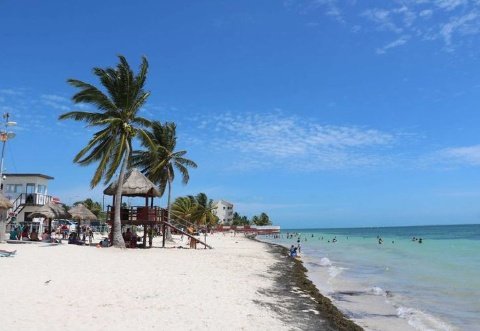 Vista panorámica de Playa El Niño en Cancún con arena blanca, palmeras, una palapa de madera y personas disfrutando del mar turquesa